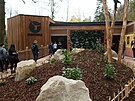 Nov expozice gibon stbrnch ve zlnsk zoo je prostornj a nvtvnci je...
