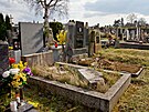 Ve star sti hbitova v Plzni-Doudlevcch ukonila sprva mstskch hbitov...