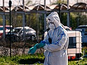 editelství silnic a dálnic zaalo s frézováním dvou dezinfekních jam na...