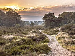 S rozlohou sedmat�icet kilometr� �tvere�ních pat�í mezi men�í nizozemské...