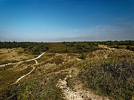 Duinen van Texel, to vlastn� znamená �duny na Texelu�. A tím je o povaze...