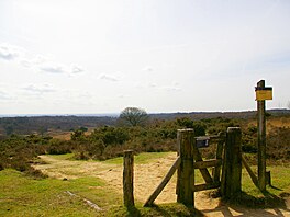 Veluwezoom se py�ní hned dv�ma unikáty. Jednak je nejstar�ím národní parkem...