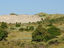 Spolu s dal�í velkou rezervací, Amsterdamské vodní duny, dohromady tvo�í...