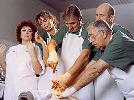 Na�a Konvalinková, Ivana Chýlková, Karel He�mánek, Petr Náro�ný a Vlastimil...