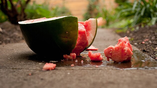 Praskl� vodn� meloun