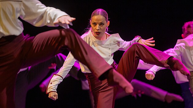 Baletn pedstaven Triangl na prknech divadla F. X. aldy v Liberci