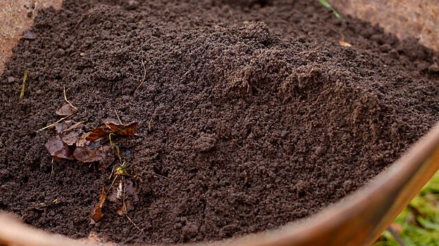 Zemina z krti�in se na ja�e hod� i na p�edp�stov�v�n� sazenic zeleniny �i kv�tin. 