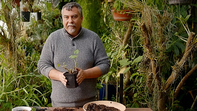 A takto by m�l vypadat mu�k�t p�esazen� a p�ipraven� na novou sezonu, popisuje zku�en� zahradn�k Roman Kv��.