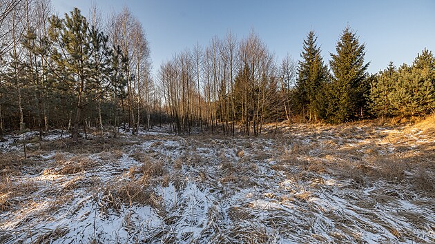 Kdosi zarazil ptok vody do mokadu Na Halti, Hradec Krlov zkus cennou lokalitu zachrnit.