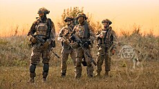 V Mali a dal�ích státech Sahelu p�sobí n�kolik stovek p�íslu�ník� tzv....