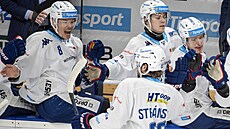 Gólová euforie hokejist� Komety Brno.