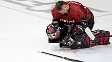 Neastný sparanský branká Josef Koená po prohe s Kometou.
