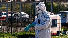 editelství silnic a dálnic zaalo s frézováním dvou dezinfekních jam na...