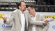 Sparanský trenér Pavel Gross reaguje na tetí gól brnnské Komety v úvodním...