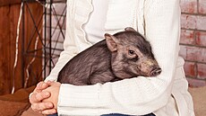 Malvína byla ze za�átku opravdu rozko�ná.