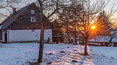 �ivot s �uníkem