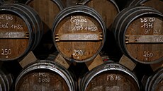 Sudy ko�aku ve firm� Bache-Gabrielsen (3. dubna 2025)