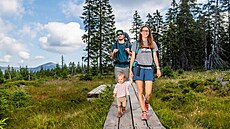 Pec pod Snkou - jaro mezi snhovými mantinely a rozkvetlými loukami