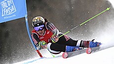 Federica Brignoneová na trati obího slalomu v rámci italského ampionátu tsn...