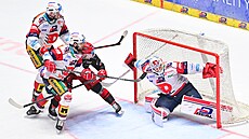 Roman Will brání pardubickou sí.