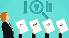 ada pracovních ivotopis vypadne z dalího posuzování pedem, pokud je...