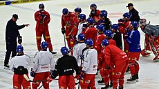 etí hokejisté na tréninku v Karlových Varech.