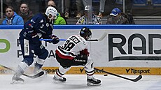 �imon Stránský (vlevo) a Tomá� Hyka se natahují po volném puku u mantinelu.