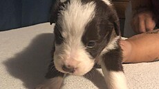 tn nabízené v inzerátu.