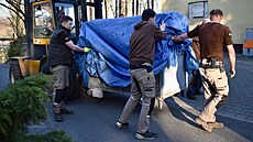 Zoo Ostrava má d�vod k oslav�. Ze �védska dorazila samice lva indického. (4....