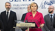 �éfka senátního klubu ANO Jana Mra�ková Vildumetzová na tiskové konferenci v...