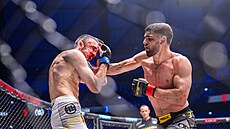 Slovák Marco Novák (vlevo) nesta�il na N�mce Palocaje