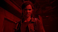 The Last of Us Part 2 na PC