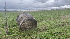 Balík slámy na poli Farmy Je�ek u Prahy. (1. dubna 2025)