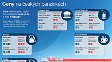 Ceny na �eských benzínkách v b�eznu 2025