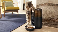 Poite své koce nové hraky: fontánku na vodu a chytré krmítko, které vám...