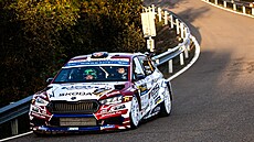 eský pilot Dominik Stíteský v akci bhem závodu Rallye Sierra Morena, který...