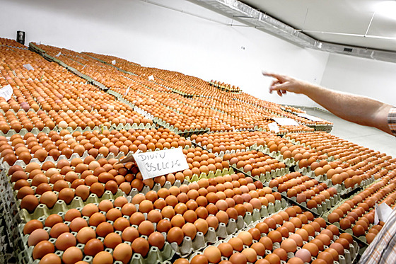 Dejte svobodu slepicím a ony se vám odvd��í