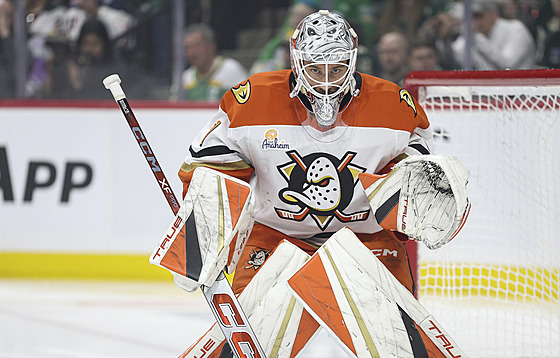 Luká Dostál v brán Anaheim Ducks