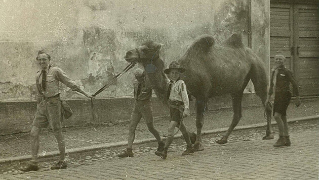 Velbloud v zemi nikoho. Tak se jmenuje dokumentární divadelní road trip, který...