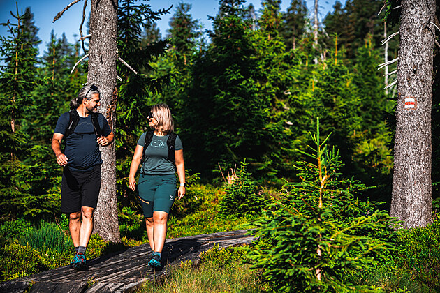 Kde zapracovat na kondi�ce i postav� do plavek, v pohork�ch i na kole?