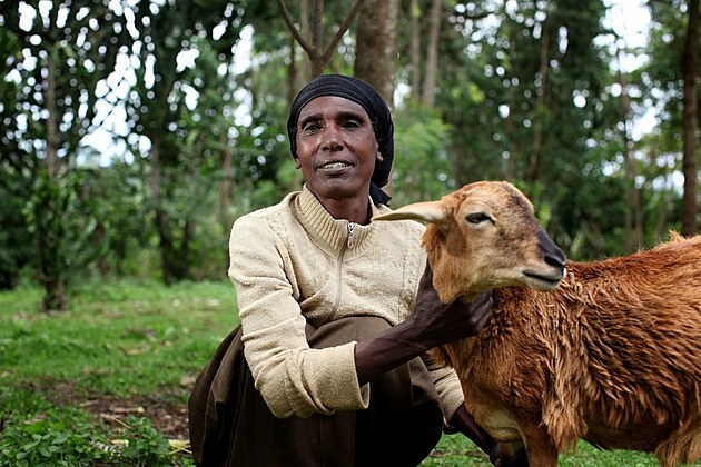 Darujte nad�ji: Velikono�n� ber�nek, kter� m�n� �ivoty v Etiopii