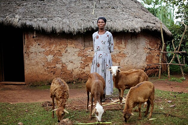 Darujte nad�ji: Velikono�n� ber�nek, kter� m�n� �ivoty v Etiopii