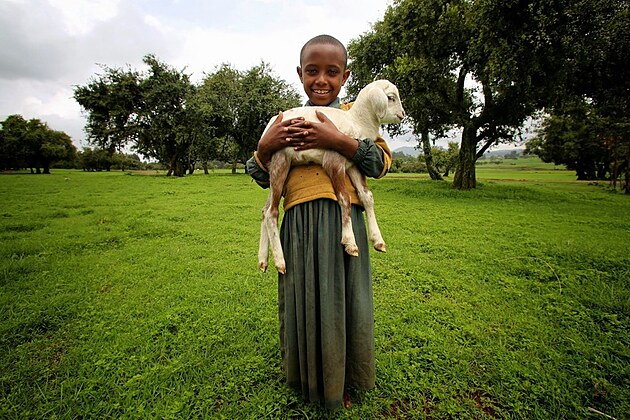 Darujte nad�ji: Velikono�n� ber�nek, kter� m�n� �ivoty v Etiopii