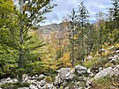 Národní park Zall Gjocaj sousedí s národním parkem Lura, co o charakteru území...