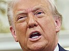 Americký prezident Donald Trump hovoí v Oválné pracovn Bílého domu ve...