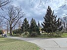 Pi plnovan revitalizaci Smetanovch sad v Jihlav z parku u Horck...
