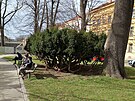Pi plnovan revitalizaci Smetanovch sad v Jihlav z parku u Horck...