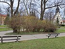 Pi plnovan revitalizaci Smetanovch sad v Jihlav z parku u Horck...