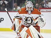 Luká Dostál v brán Anaheim Ducks
