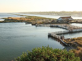 Mok�ady, píse�né duny i borové lesy. To v�echno lemuje pob�e�í st�ední Albánie...